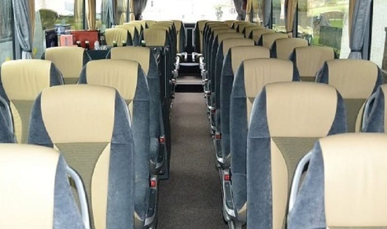 Austria: Coach operator in Lower Austria in Lower Austria and Wieselburg